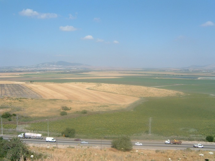 Megiddo 5